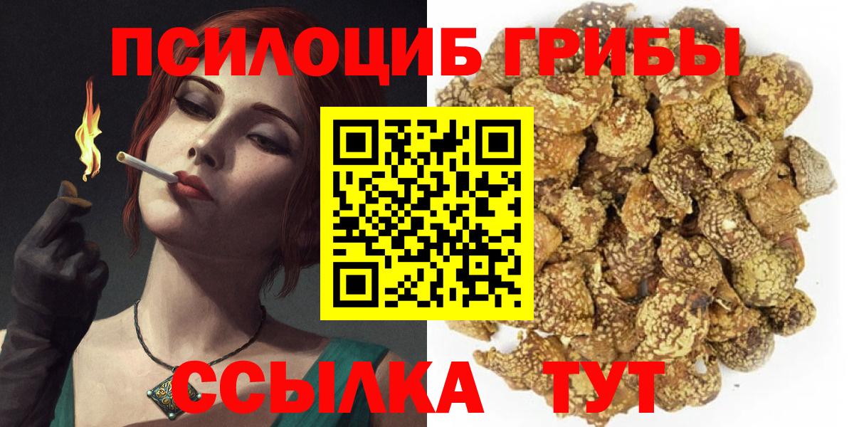 купить наркоту  Вход с VPN  Людиново  Псилоцибиновые грибы прущие грибы 