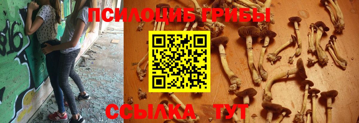 Галлюциногенные грибы Cubensis Людиново